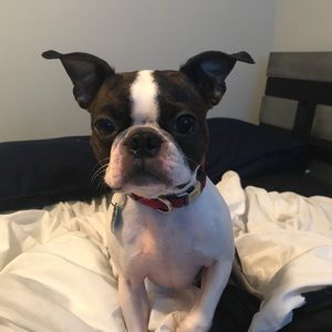 Meet your Posher, Aubrey